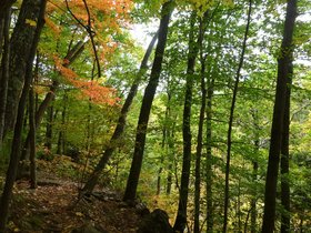 Rumney%20Oct%202015%20-53.JPG