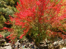 Rumney%20Oct%202015%20-87.JPG