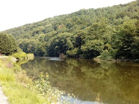 20170708_164727.jpg