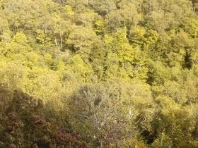 20210904_145448.jpg