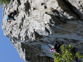 IMG_4951.JPG