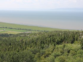 IMG_4955.JPG