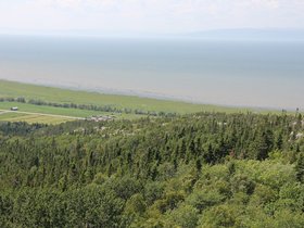IMG_4956.JPG