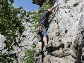 IMG_4964.JPG