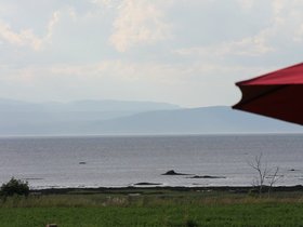 IMG_4967.JPG