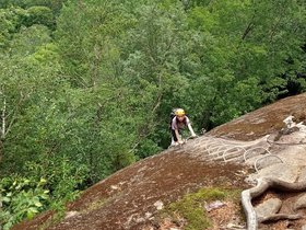 IMG_20240710_103155492.jpg