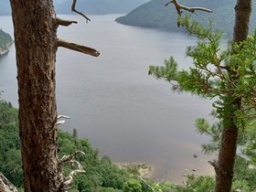 IMG_20240710_104359988_HDR.jpg