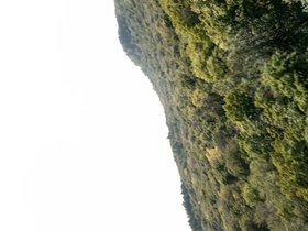 IMG_20240825_153422548_HDR.jpg