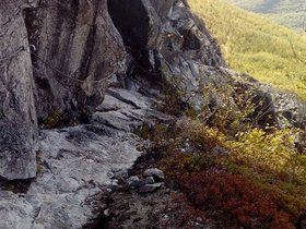 20210911_120531.jpg
