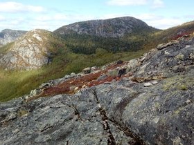 20210911_125635.jpg