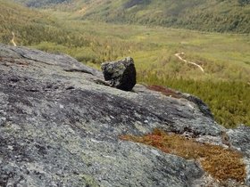 20210911_130220.jpg