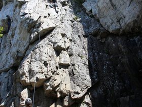 IMG_4935.JPG