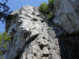 IMG_4939.JPG