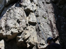 IMG_4949.JPG
