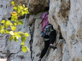 IMG_4950.JPG