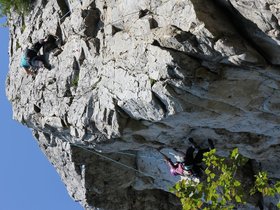 IMG_4952.JPG