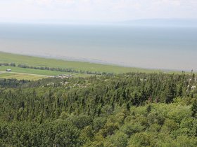 IMG_4957.JPG