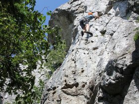 IMG_4960.JPG