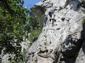 IMG_4961.JPG