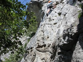 IMG_4962.JPG