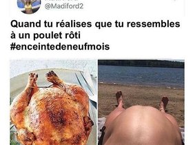 Quand.Tu.R%C3%A9alises.Que.Tu.Ressembles.%C3%80.Un.Poulet.R%C3%B4ti.jpg