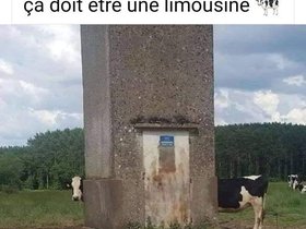 Vache.Limousine.jpg