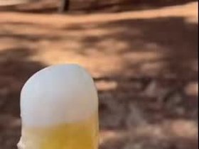 a7qgNVz_460svav1.webm