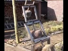 Kinetic.Sculpture.webm