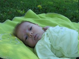 img_1732.jpg