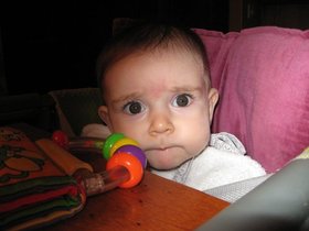 img_2384.jpg