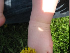 img_3109.jpg