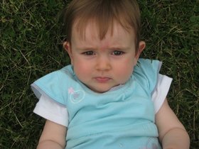 IMG_3267.JPG