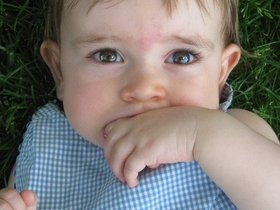 IMG_3316.JPG