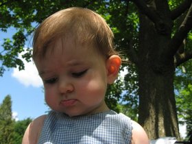 IMG_3333.JPG