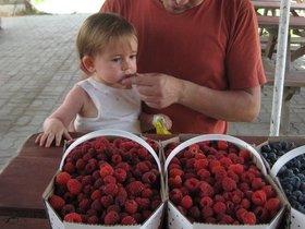IMG_3761.JPG