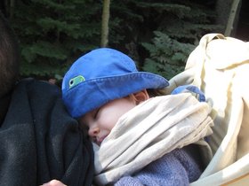 IMG_3953.JPG