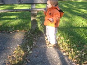 IMG_4380.JPG