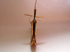 img_1779.jpg