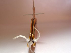 img_1781.jpg