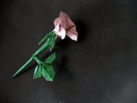 img_2099.jpg