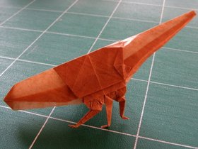 insecte_002.jpg