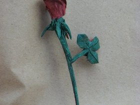 vegetal-002.jpg