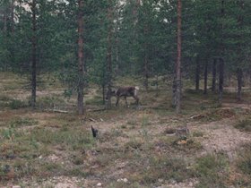 Img_0073.jpg