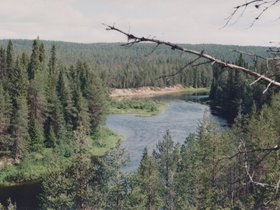 Img_0088.jpg