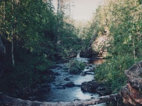 Img_0094.jpg