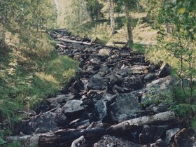 Img_0095.jpg