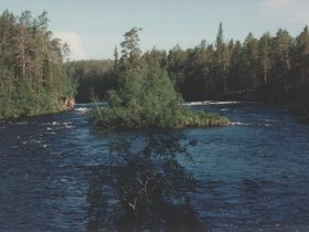 Img_0096.jpg