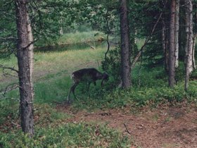 Img_0103.jpg