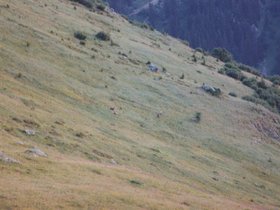 Img_0277.jpg