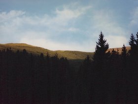Img_0289.jpg